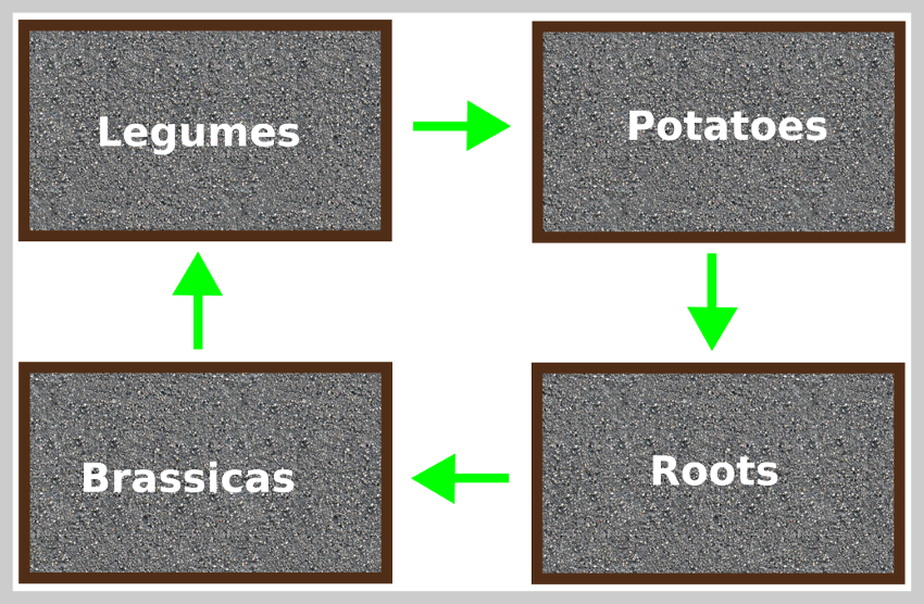 Crop Rotation 2